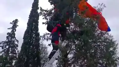 Pamukkale'de Yamaç Paraşütü Kazası: Pilot Ağacta Mahsur Kaldı